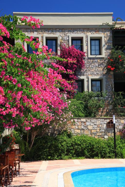 Zeytinada Hotel Torba Eksteriør billede